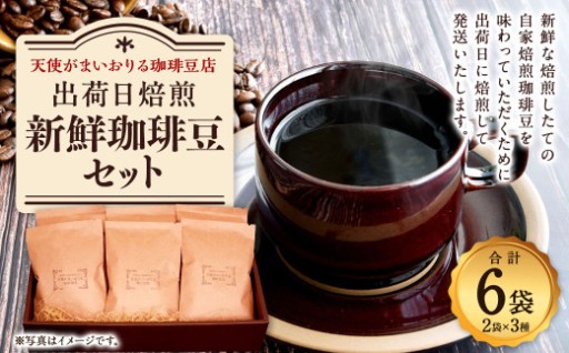 出荷日焙煎 『 新鮮 珈琲豆 セット 』 3種 6袋