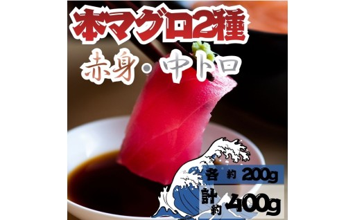 【9月上旬～発送】本マグロ 赤身 中トロ 各1柵
