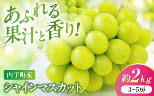【先行予約】内子町シャインマスカット！極上の甘さ