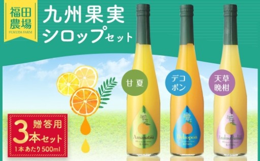 【贈答用】九州果実シロップ 3本セット（甘夏、デコポン、天草晩柑）