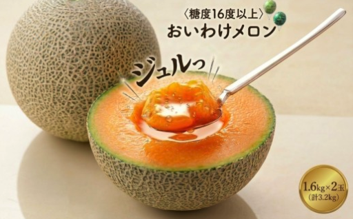 おいわけメロン 赤肉メロン1.6kg以上×2玉入