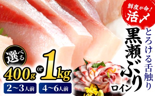 【数量限定】高評価！活じめ！黒瀬ぶりの生鮮ブリロイン 2節~3節 400g 1kg