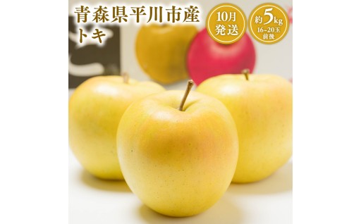 【10月発送】 青森県産 りんご トキ 約5kg