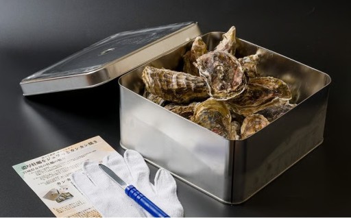 ＜加熱用＞殻付き牡蠣 カンカン焼きセット 冷凍 2kg