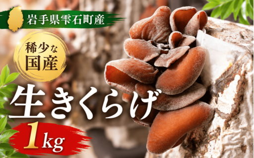 貴重な国産生きくらげ！9月6日までの受付です！