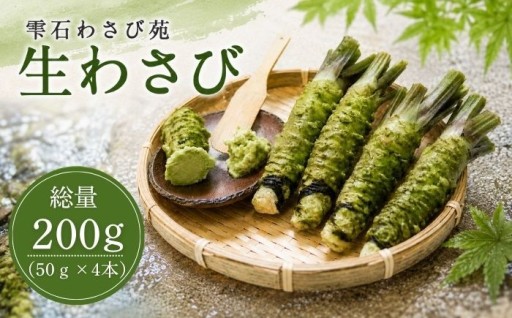 味も見た目も一級品！雫石ワサビがついに返礼品に！