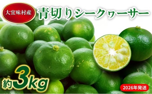 【2026年発送】大宜味村 青切りシークワーサー 約3kg 
