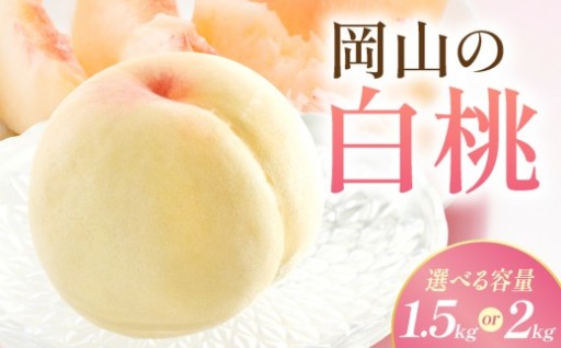 秋に旬を迎える希少な『晩生白桃』