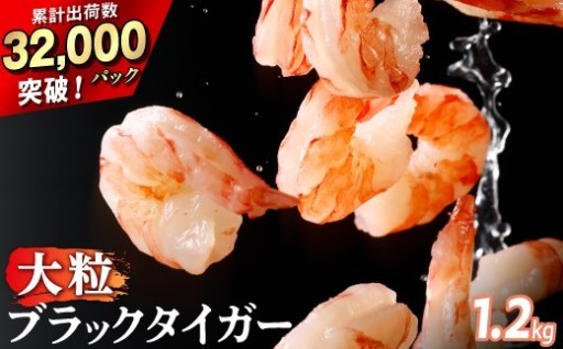 【訳あり】大粒『ブラックタイガーむきえび』！