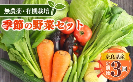 【 定期便 3回 】生命の農法 季節の野菜セット