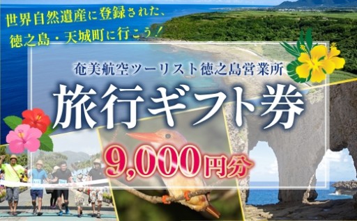 旅行ギフト券 9,000円分 奄美航空ツーリスト