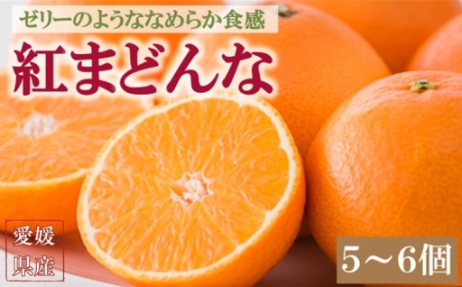 【チョイス限定返礼品】愛媛県が誇る高級柑橘！紅まどんな（5～6個入り）