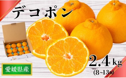【数量限定】デコポン（2.4kg）🍊