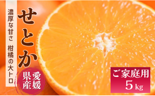 柑橘の大トロ！せとか🍊バラ詰め📦5kg