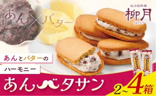 【あんとバターの極上和洋折衷】柳月 あんバタサン