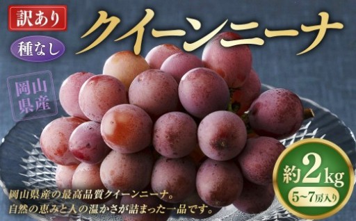 【訳あり】 《種なし》 岡山県産 クイーンニーナ 約2kg（5～7房）【2026年8月下旬-9月下旬発送予定】