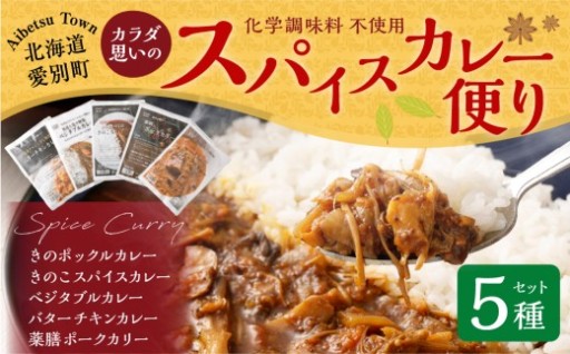 カラダ思いのスパイスカレー便り 5種セット 
