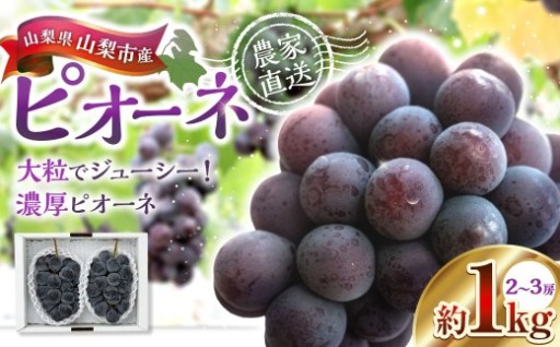 山梨県山梨市産ピオーネ 約1kg