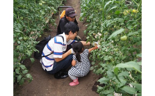 【日本の原風景に癒やされる】贅沢な古民家貸し切りと農業体験で最高の休日を！