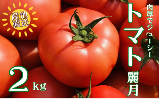 【数量限定】「エコえひめ　特別栽培農産物」トマト 2kg 麗月🍅