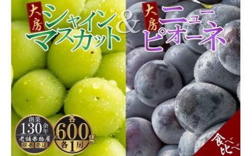 大房シャインマスカット＆大房ニューピオーネ　各1房（各約600g）