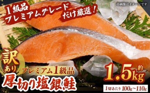 【 訳あり 】 プレミアム1級品 厚切り塩銀鮭 切り身 1.5kg