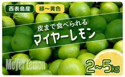 極めて希少な国産マイヤーレモン！