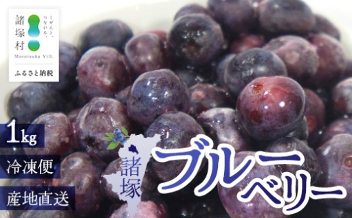 【数量限定】諸塚村産 冷凍ブルーベリー 約1kg