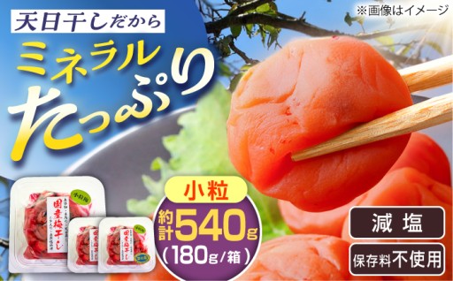 【減塩・保存料不使用】おにぎりに最適な小粒梅干し