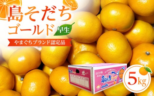 【やまぐちブランド認定品】2026年10～11月にかけて順次発送！島そだちゴールド(早生) 5kg