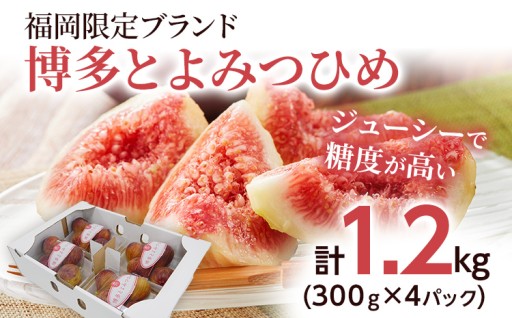 夏にオススメ！ジューシーで糖度の高いいちじくはいかがでしょうか✨