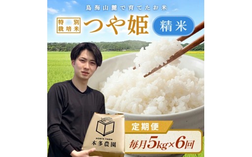 🌾令和8年産新米予約🌾農家直送！つや姫5kg×6回定期便