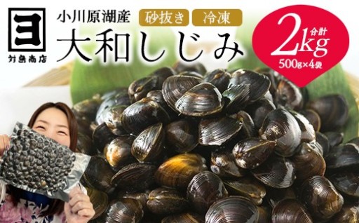 砂抜き済！冷凍・小川原湖産大和しじみ 2kg