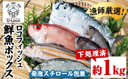 漁師厳選！下処理済 鮮魚 ボックス(約1kg)