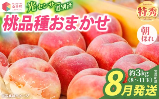 8月発送 品種おまかせ 特秀3kg（8～11玉）