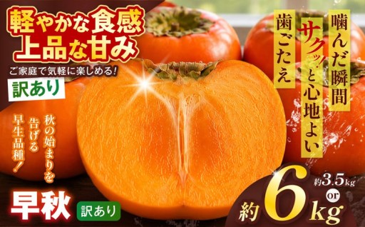 【訳あり品】 早秋 柿 1箱～選べる容量 