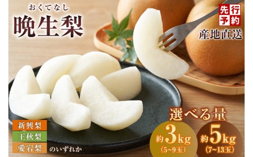 梨の一大産地・香美町からお届け！🌊 甘味の中に適度な酸味があり、絶妙な美味しさです✨