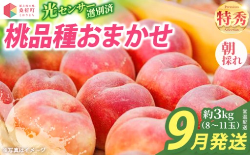 9月発送 品種おまかせ 特秀3kg（8～11玉）