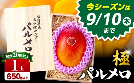 【宮崎県宮崎市】希少種マンゴー (極)パルメロ🥭