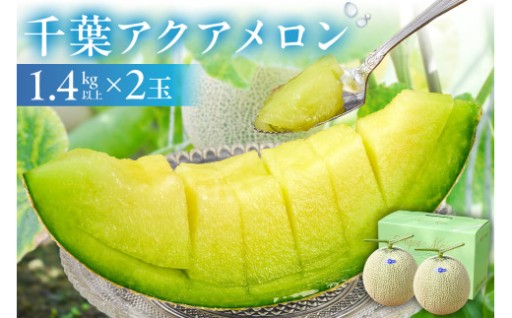 千葉アクアメロン(マスクメロン)2玉