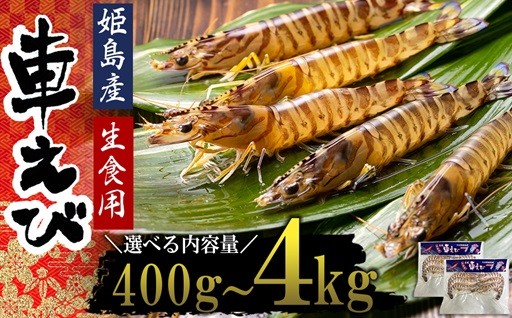 車えび好きにはたまらない！！生食用凍眠凍結姫島車えび🦐