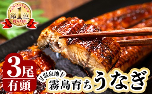 霧島市育ちのあの「うなぎ」120～130g×3尾
