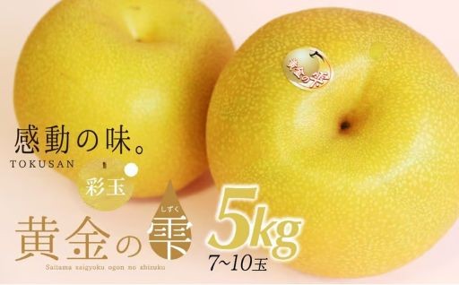 【チョイス限定】黄金の雫「彩玉」ブランド梨5kg(7玉～10玉)をご紹介♪
