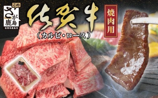 【訳あり】佐賀牛 焼肉 セット 小肉 500g ( カルビ ロース )  B-840