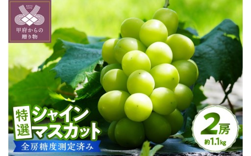 山梨県産特選シャインマスカット2房 約1.1kg