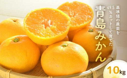 冬の楽しみをいまから準備