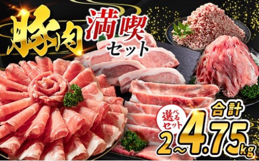 【ご飯作りの強い味方 ✨】宮崎県産豚肉満喫セット