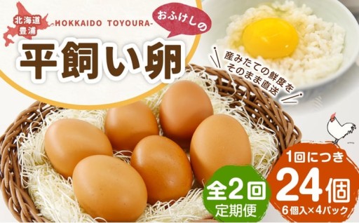 [ 定期1ヶ月毎2回 ] 北海道 豊浦 おふけしの平飼い卵 24個