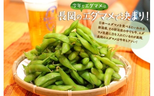 出荷時期の異なる枝豆4品種！新潟甘茶豆のお申し込みは8月1日まで!!旬をお見逃しなく♪
