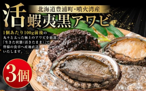 活 蝦夷黒アワビ 3個 計300g程度